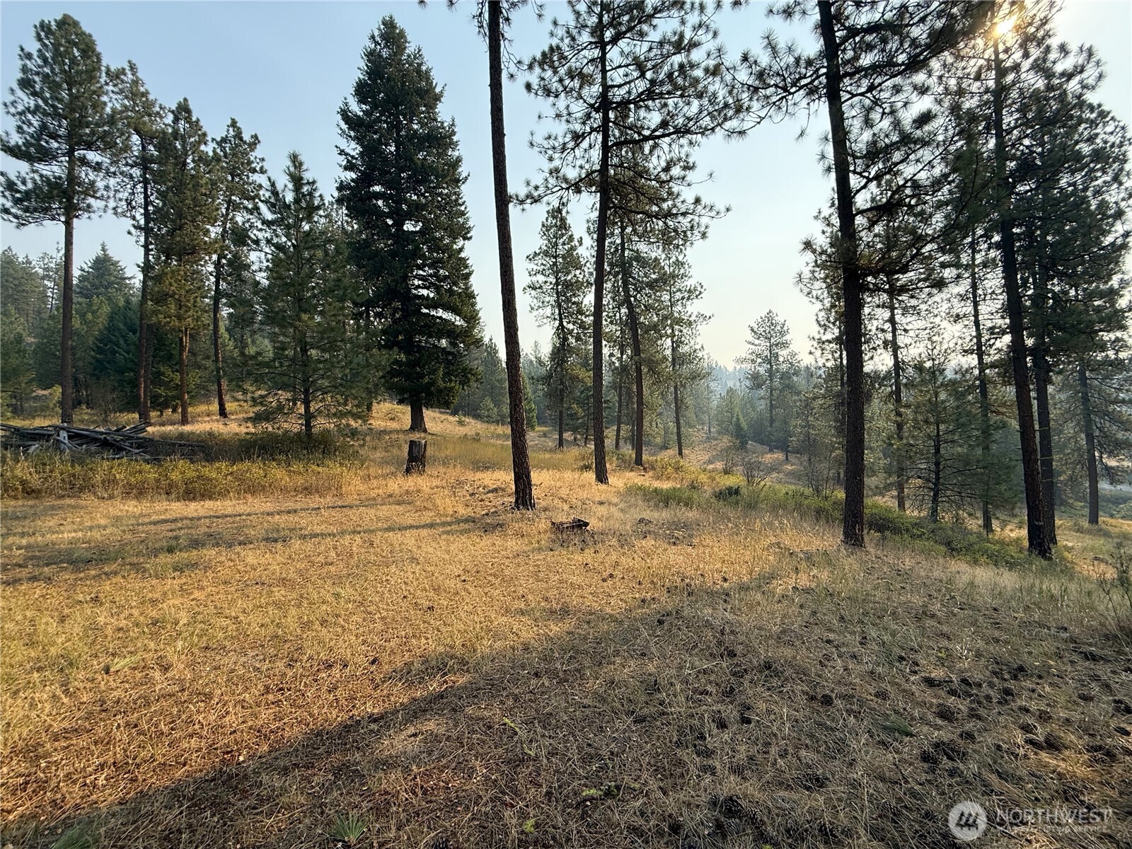 245 Klondike Road Property Photo 22