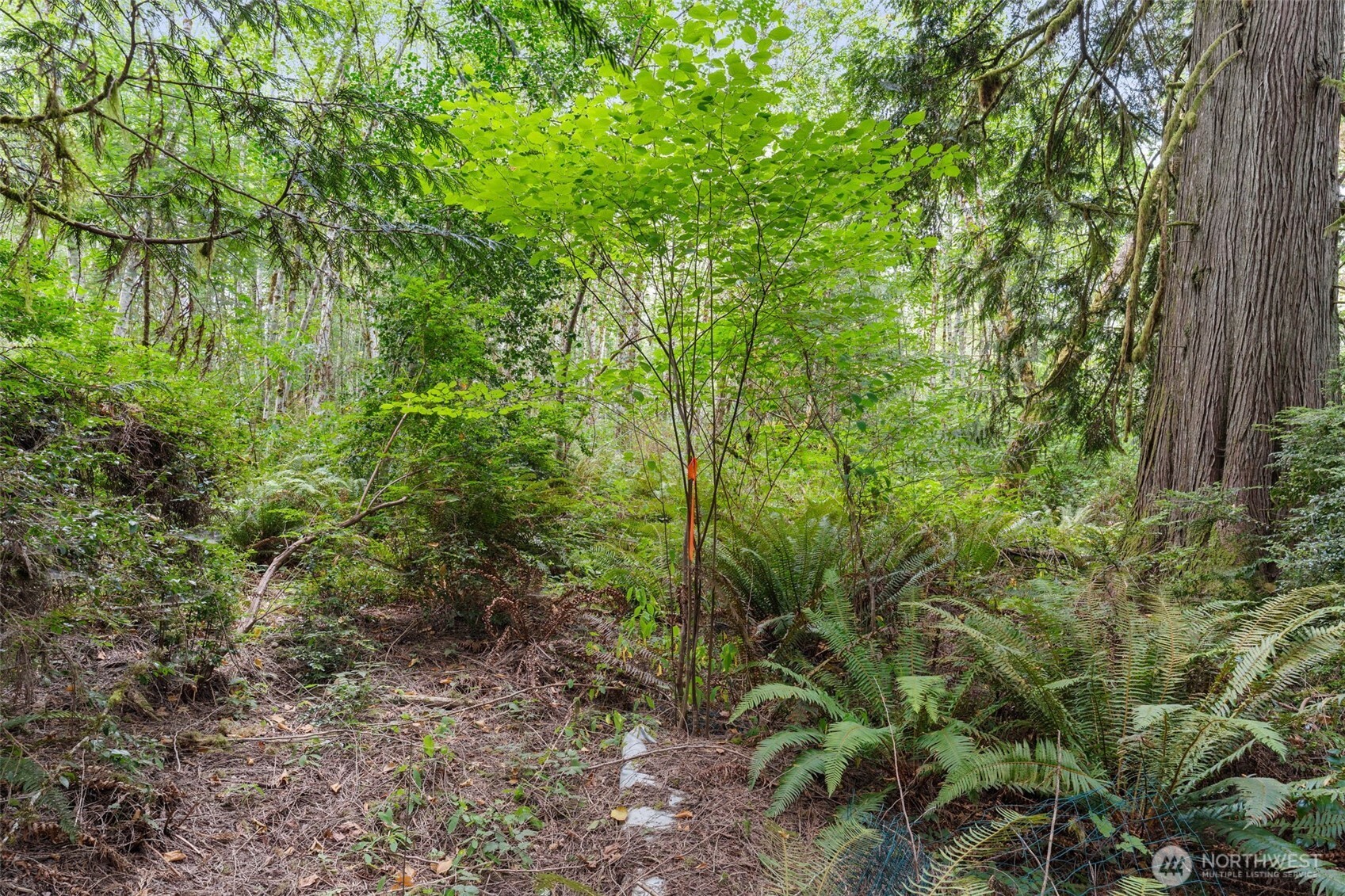 0 E Lombard Road Property Photo 27