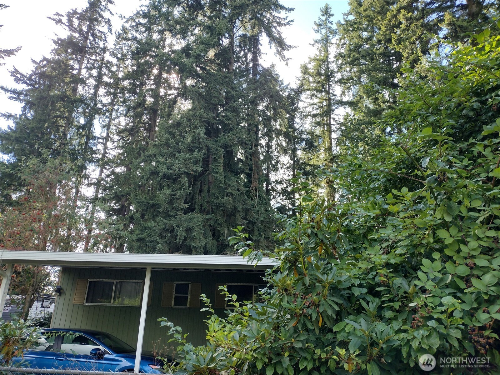 3305 180th Street Property Photo 4