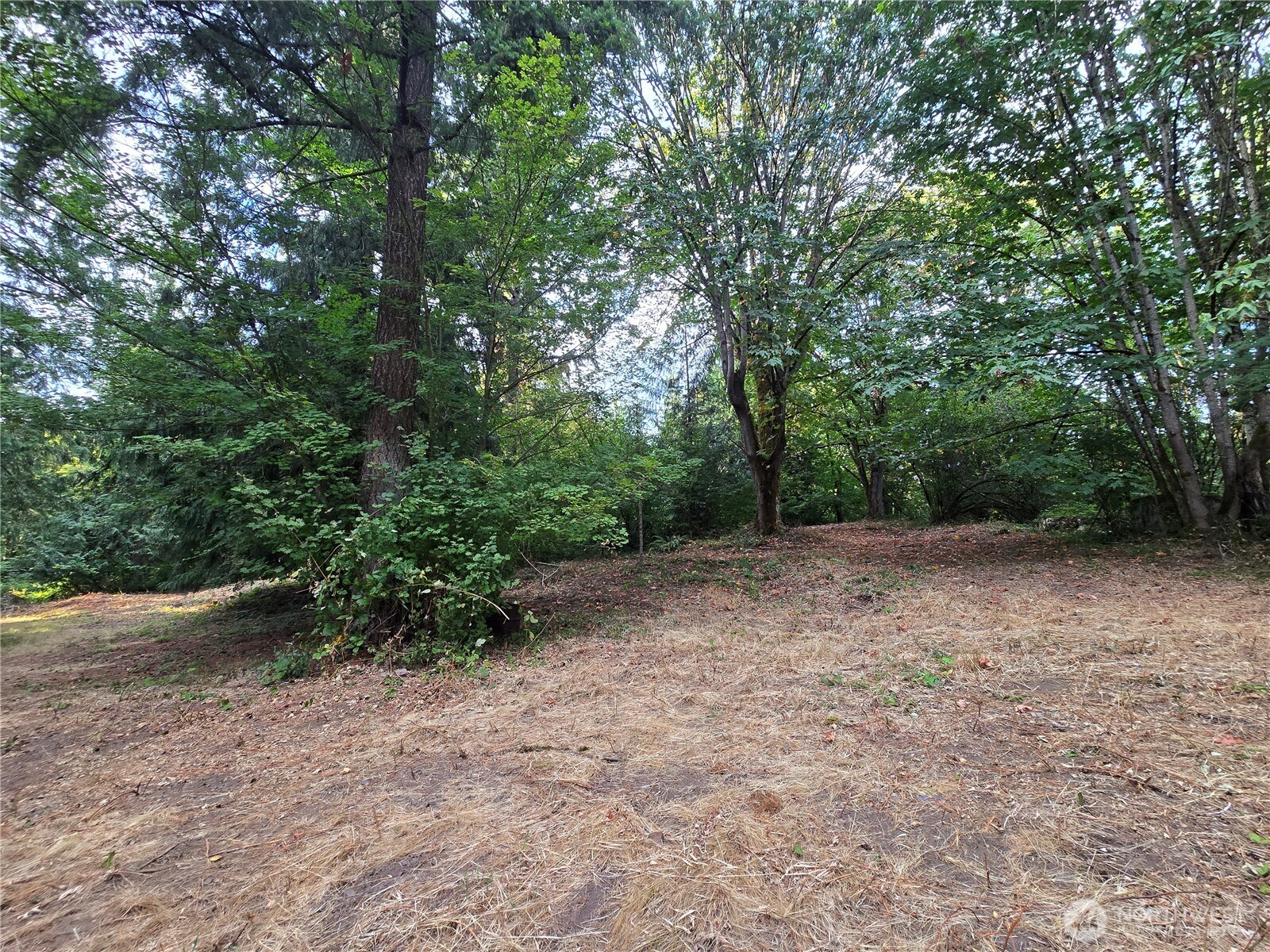 19226 Se Se 220th Street Property Photo 27