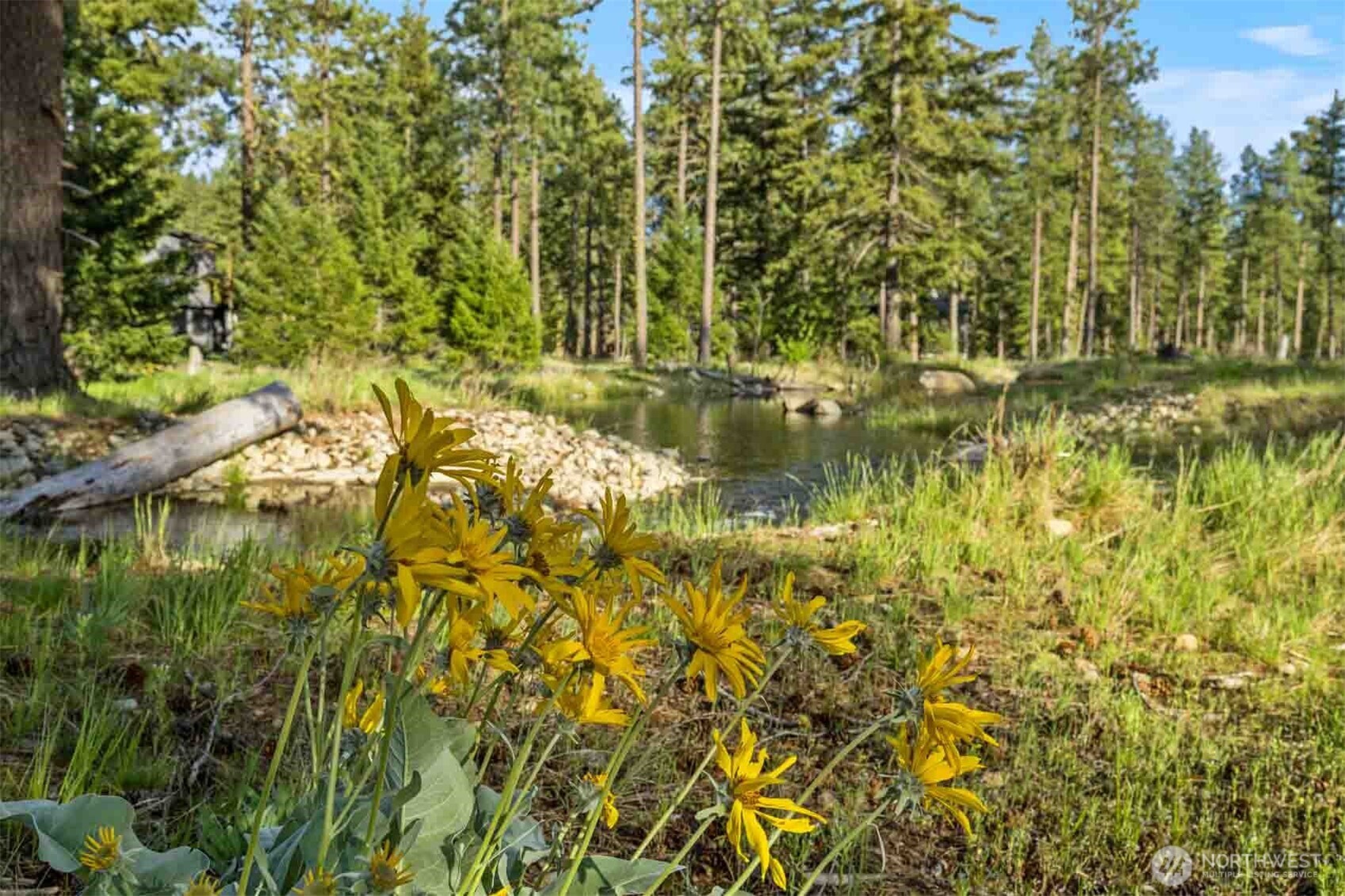 113 Wanawish Loop Property Photo 19