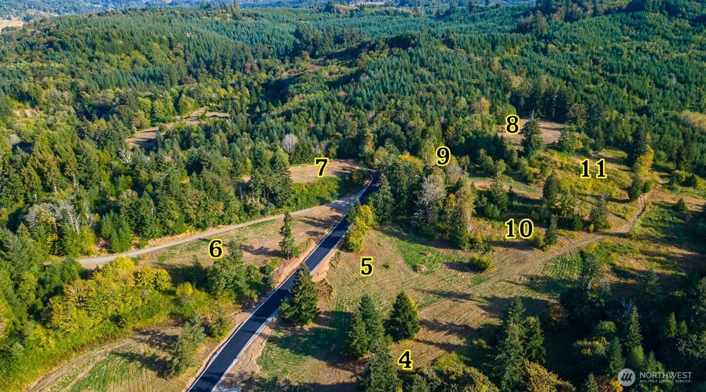 1824 Salzer Creek Drive Property Photo 3