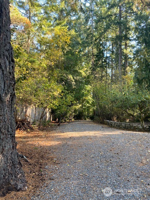 3722 Forest Beach Drive Property Photo 6