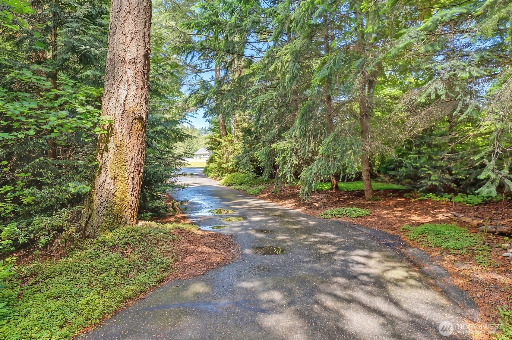 1951 Journeys End Lane Property Photo 39