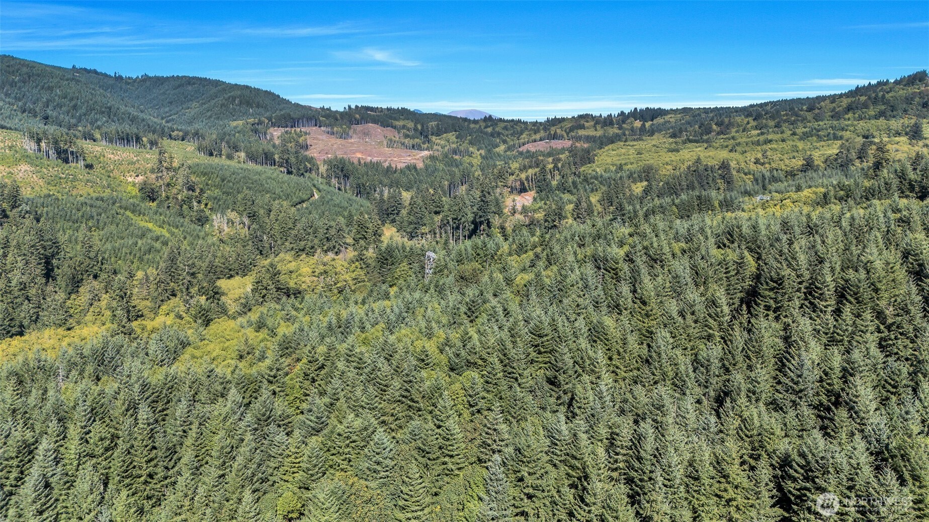 405 Italian Creek Road Property Photo 35