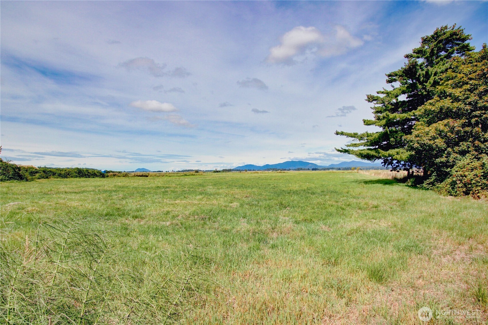 17483 Peterson Road Property Photo 7