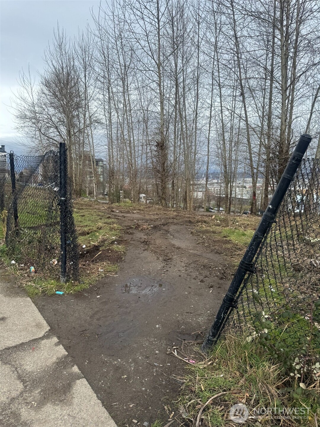 2123 Tacoma Avenue Property Photo 17