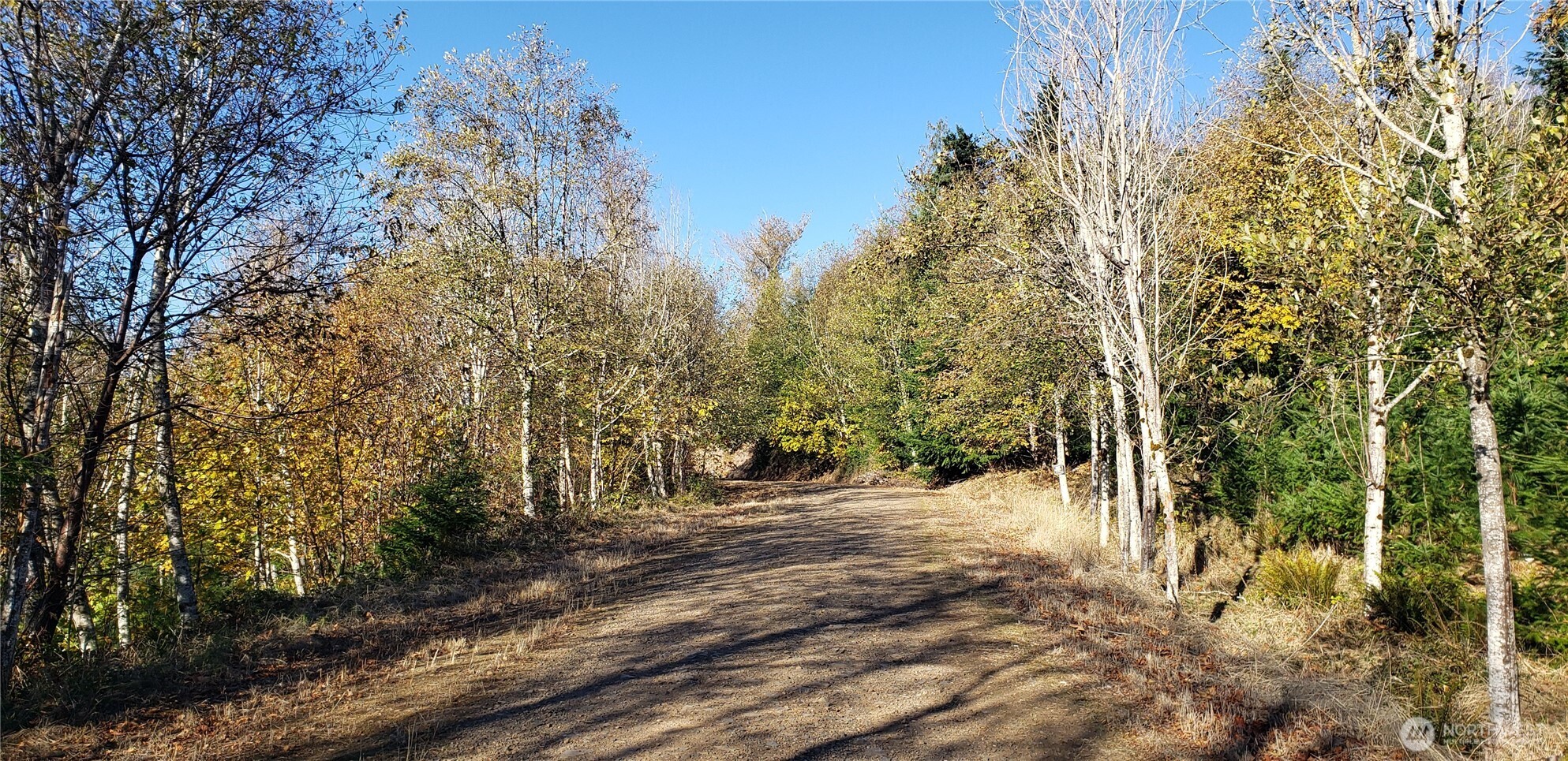 365 Xx Cumberland Ridge Road Property Photo 5