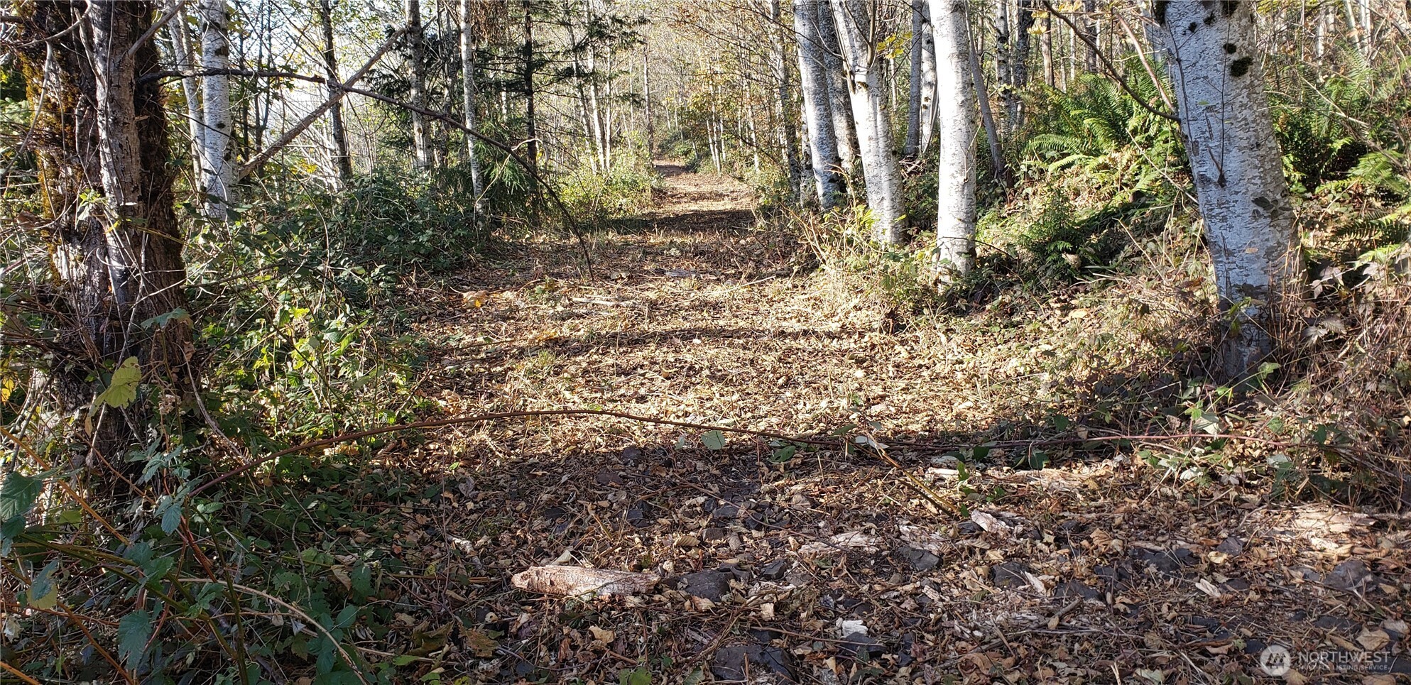 365 Xx Cumberland Ridge Road Property Photo 11