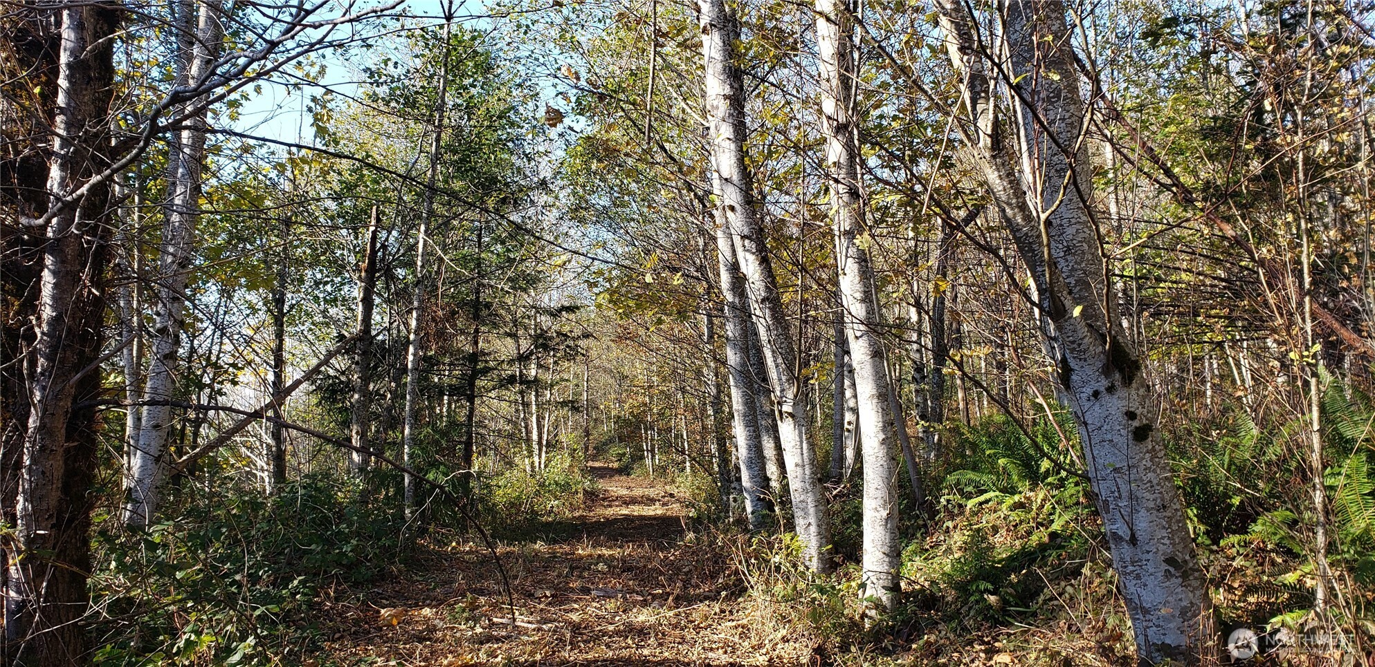 365 Xx Cumberland Ridge Road Property Photo 12