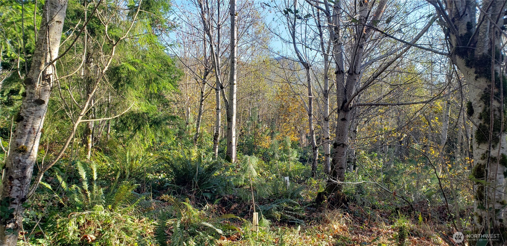 365 Xx Cumberland Ridge Road Property Photo 14
