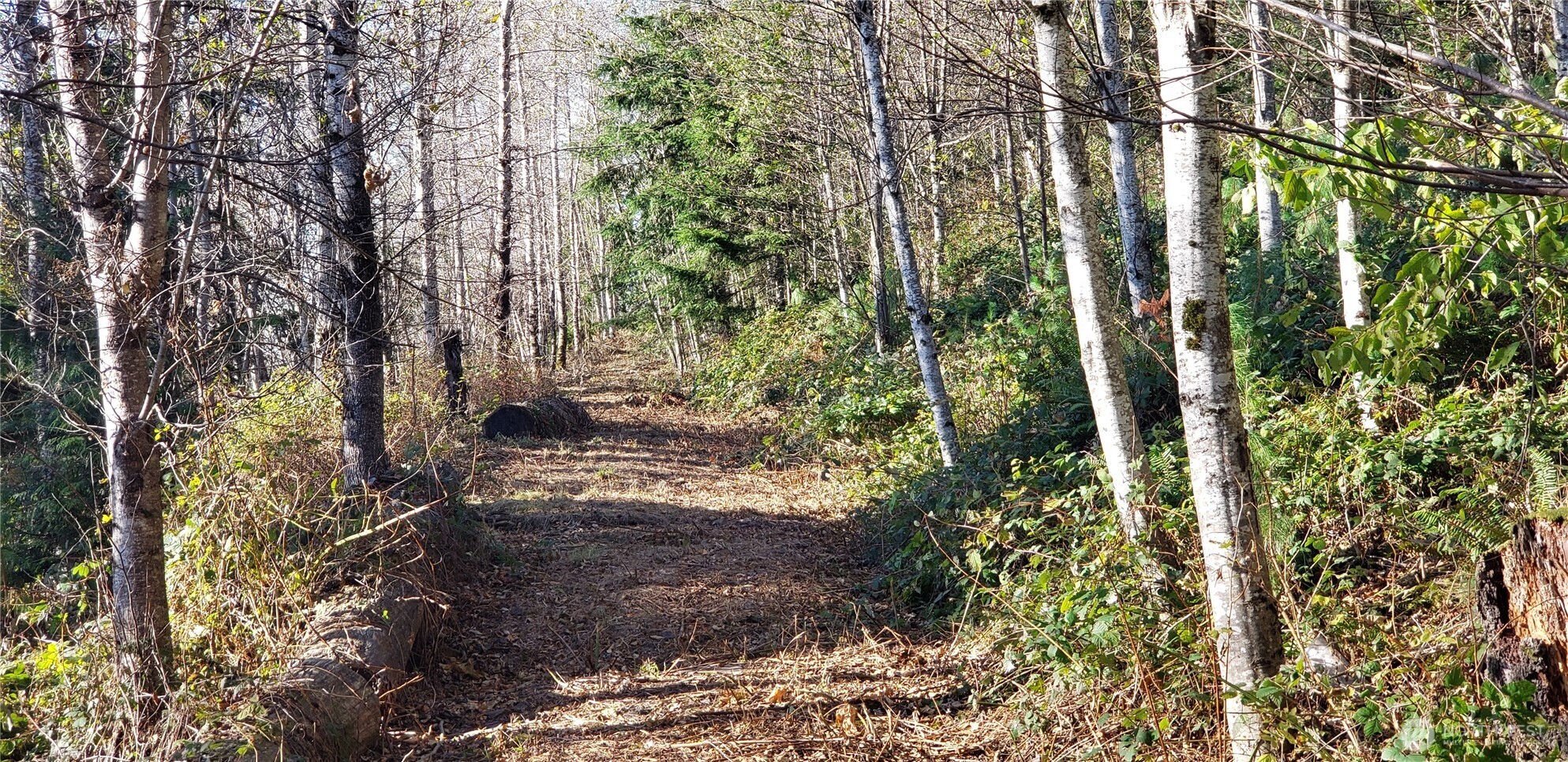 365 Xx Cumberland Ridge Road Property Photo 15