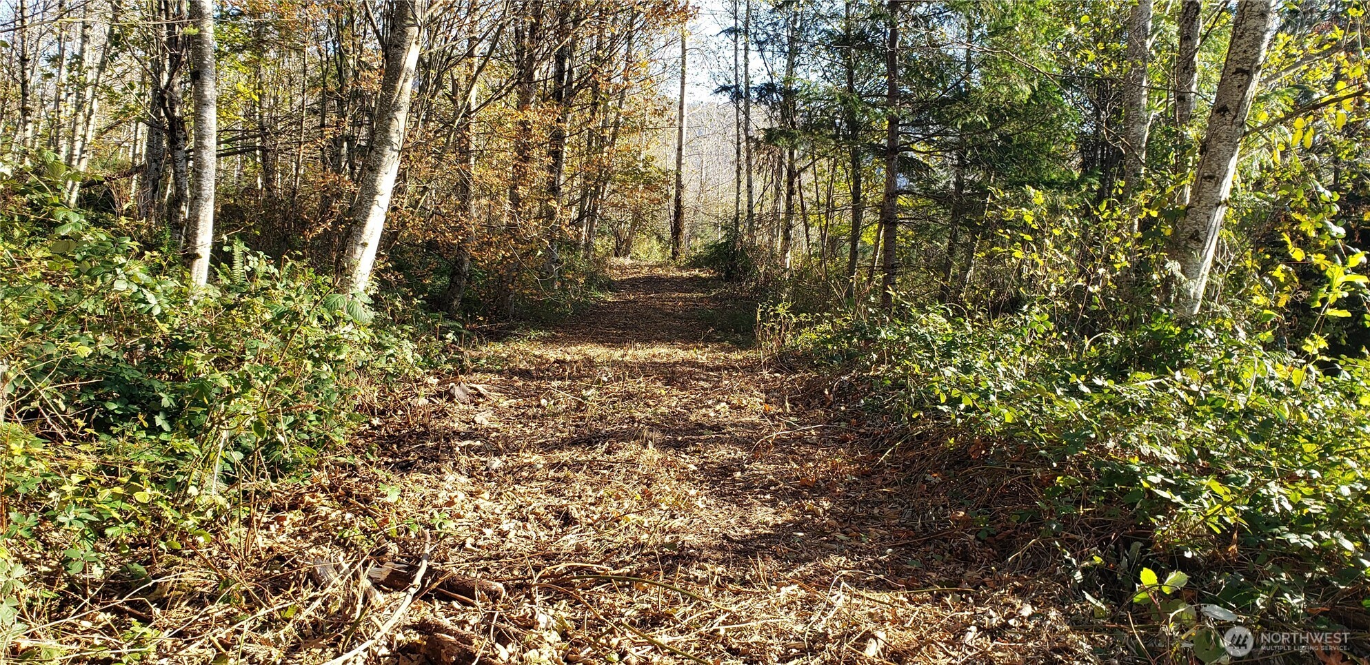 365 Xx Cumberland Ridge Road Property Photo 16