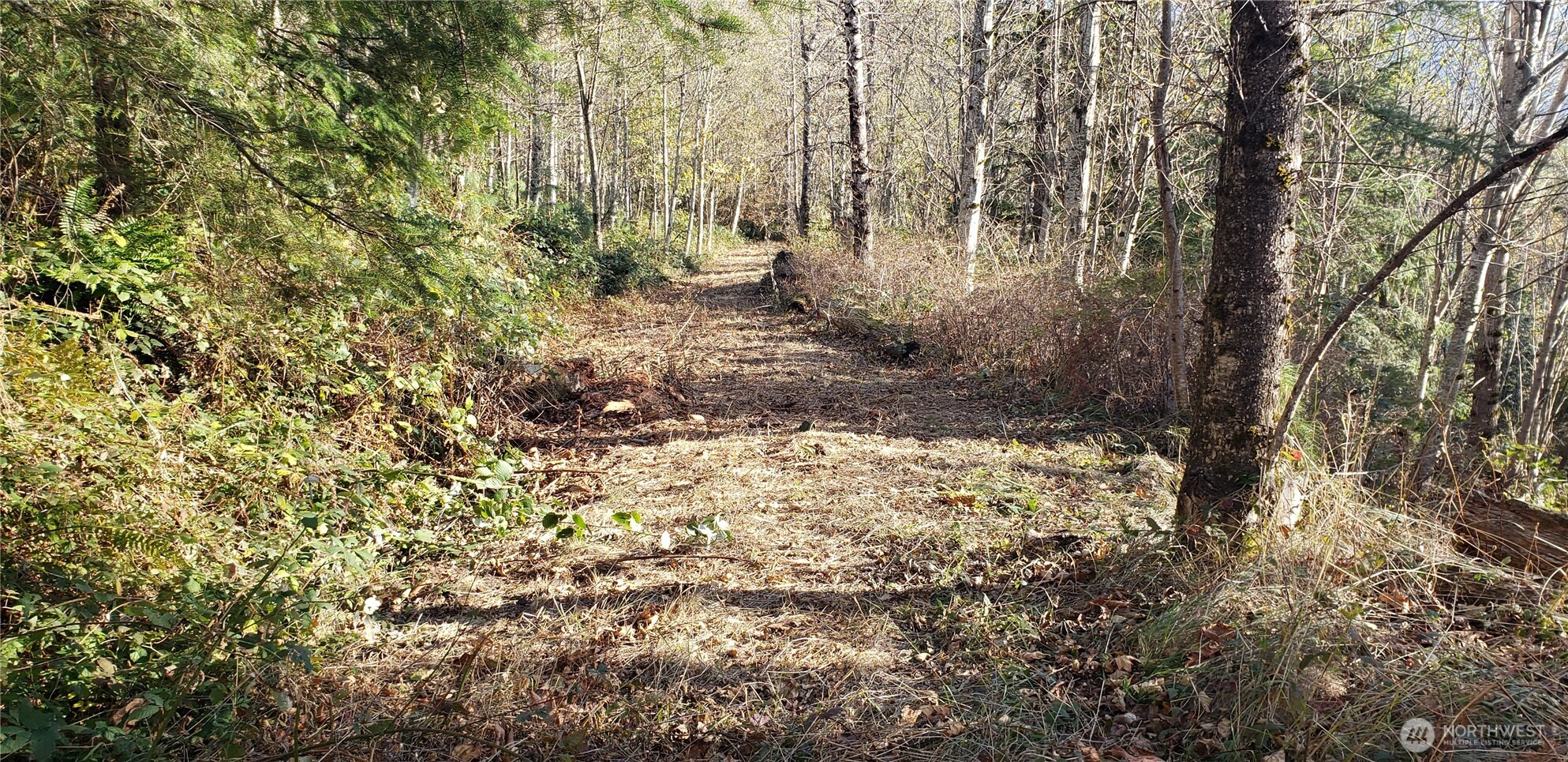 365 Xx Cumberland Ridge Road Property Photo 17