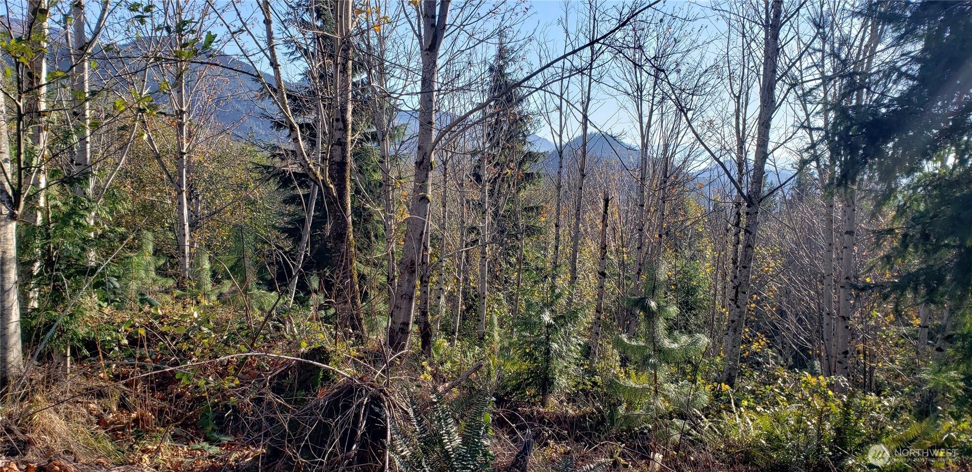 365 Xx Cumberland Ridge Road Property Photo 18