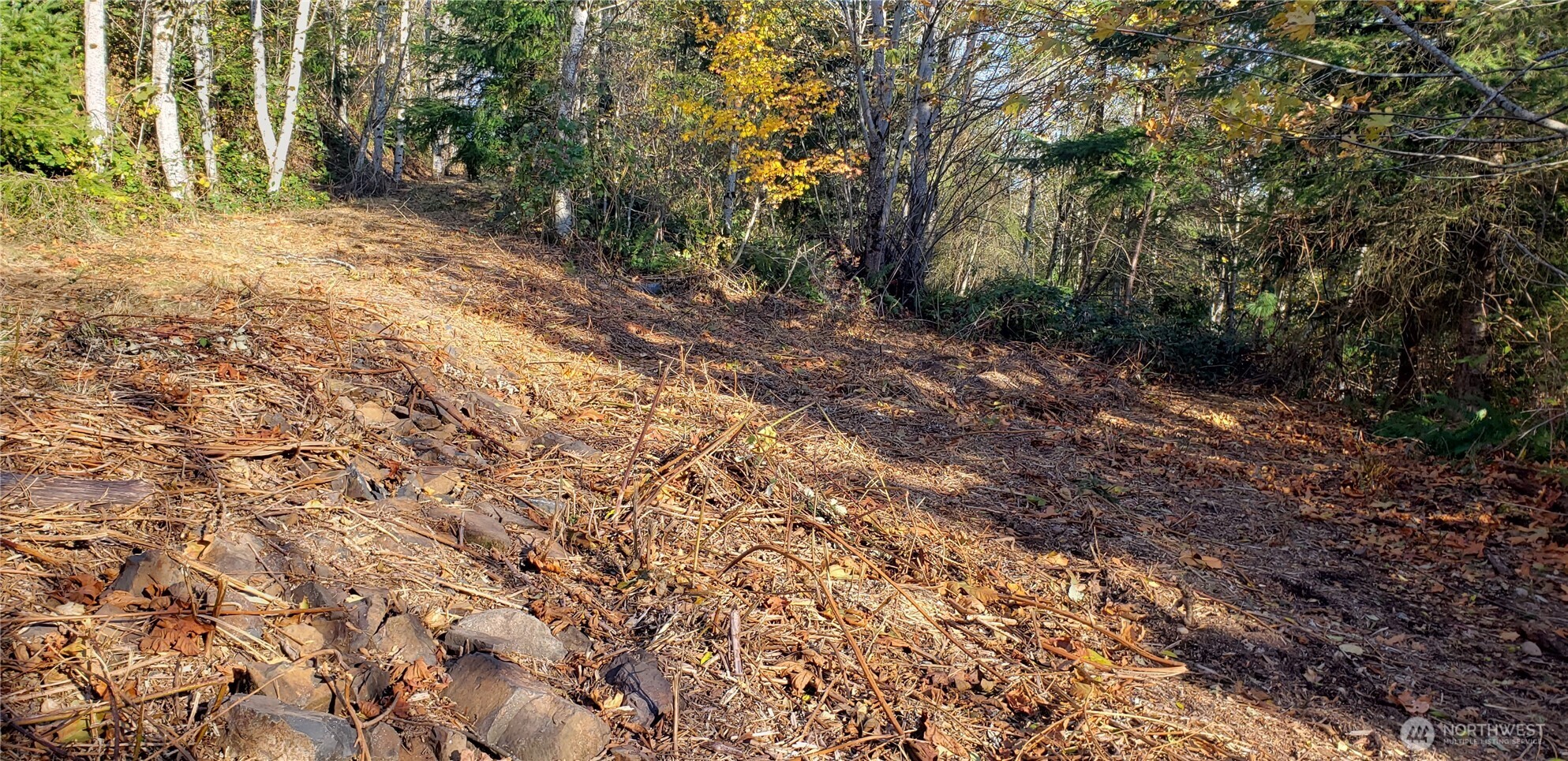 365 Xx Cumberland Ridge Road Property Photo 19