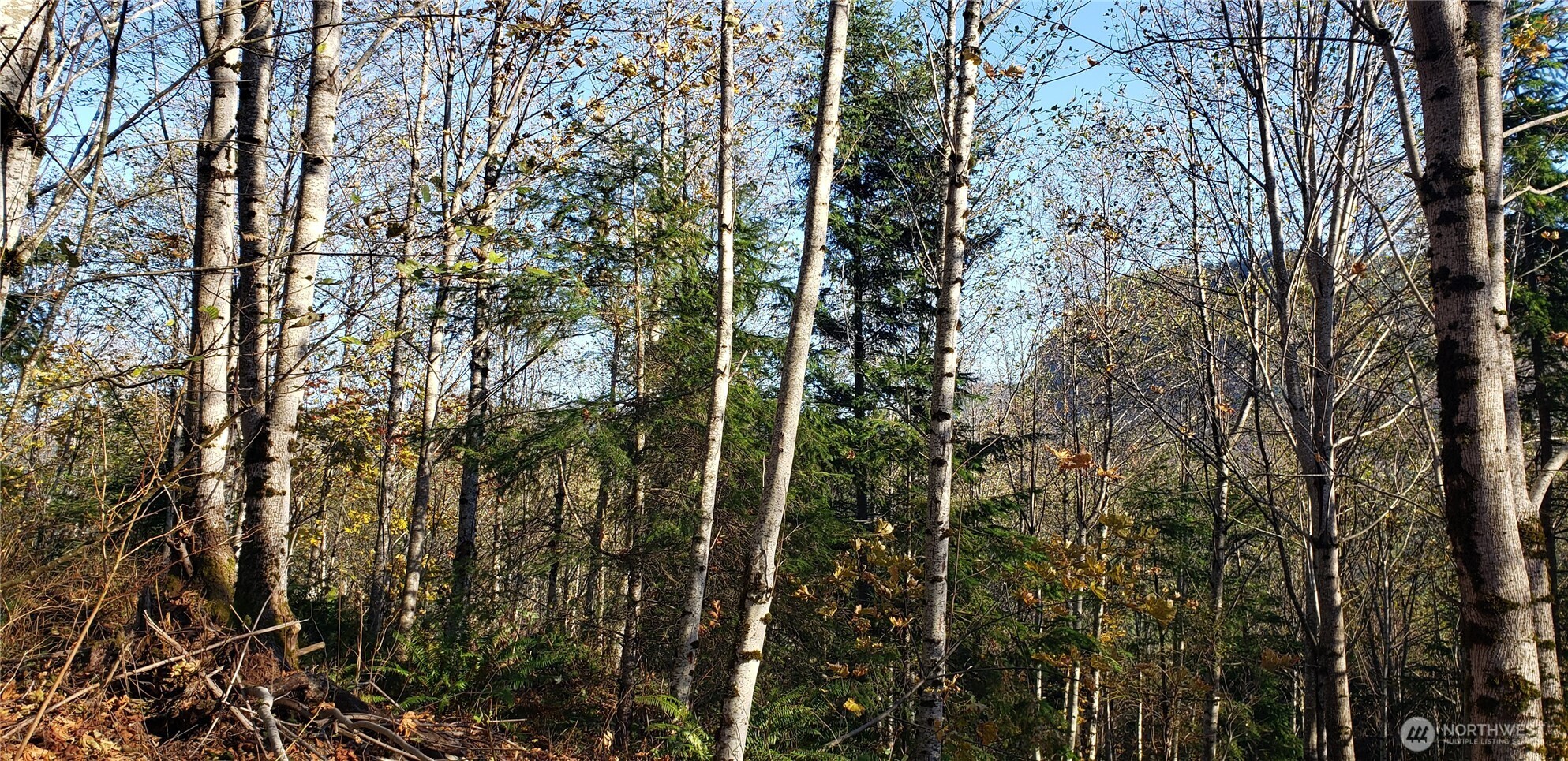 365 Xx Cumberland Ridge Road Property Photo 21