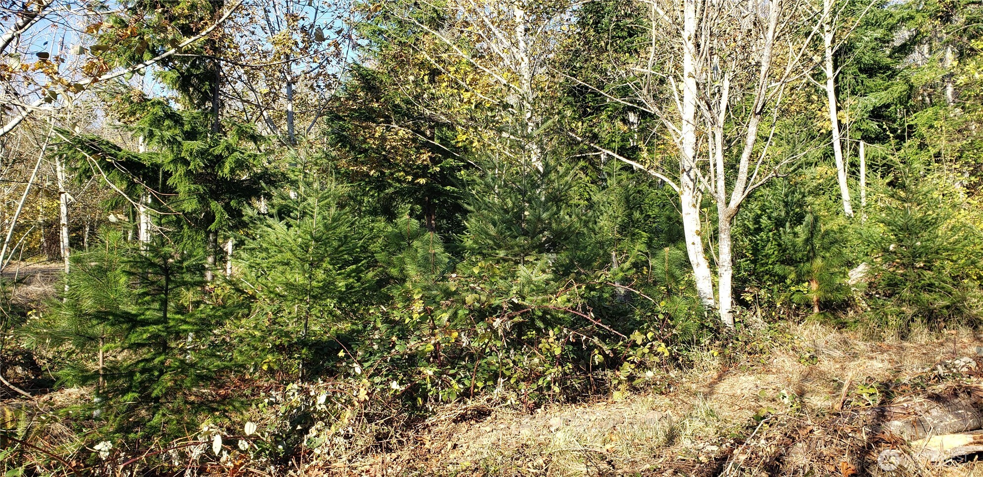 365 Xx Cumberland Ridge Road Property Photo 22