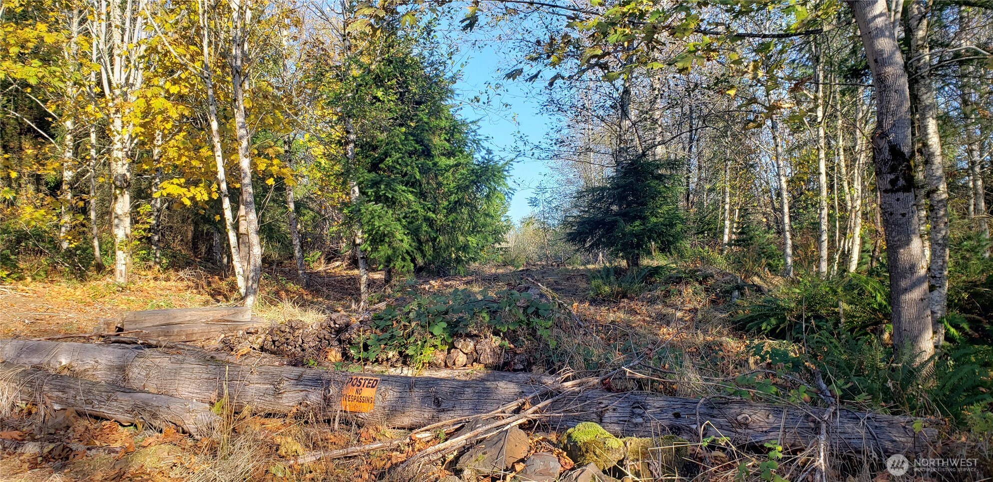 365 Xx Cumberland Ridge Road Property Photo 27
