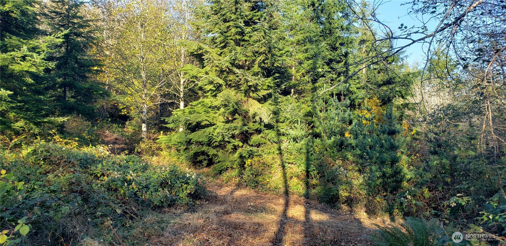 365 Xx Cumberland Ridge Road Property Photo 29