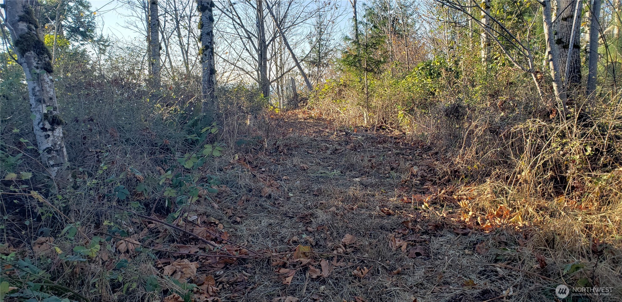 365 Xx Cumberland Ridge Road Property Photo 31