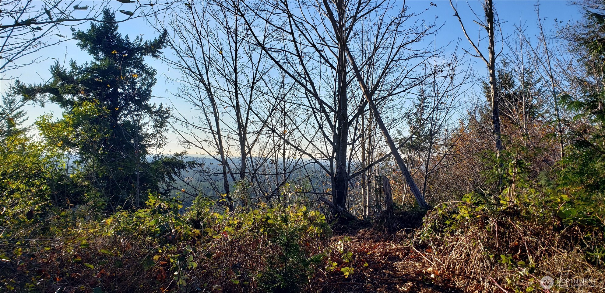365 Xx Cumberland Ridge Road Property Photo 33