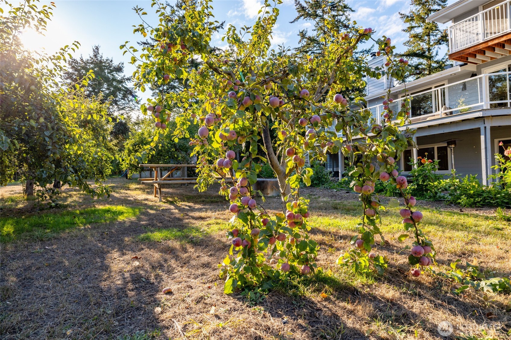 1407 Arnold Road Property Photo 40