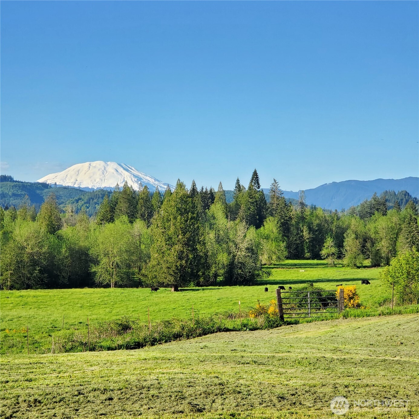 39827 Ne Gerber Mckee Road Property Photo 4
