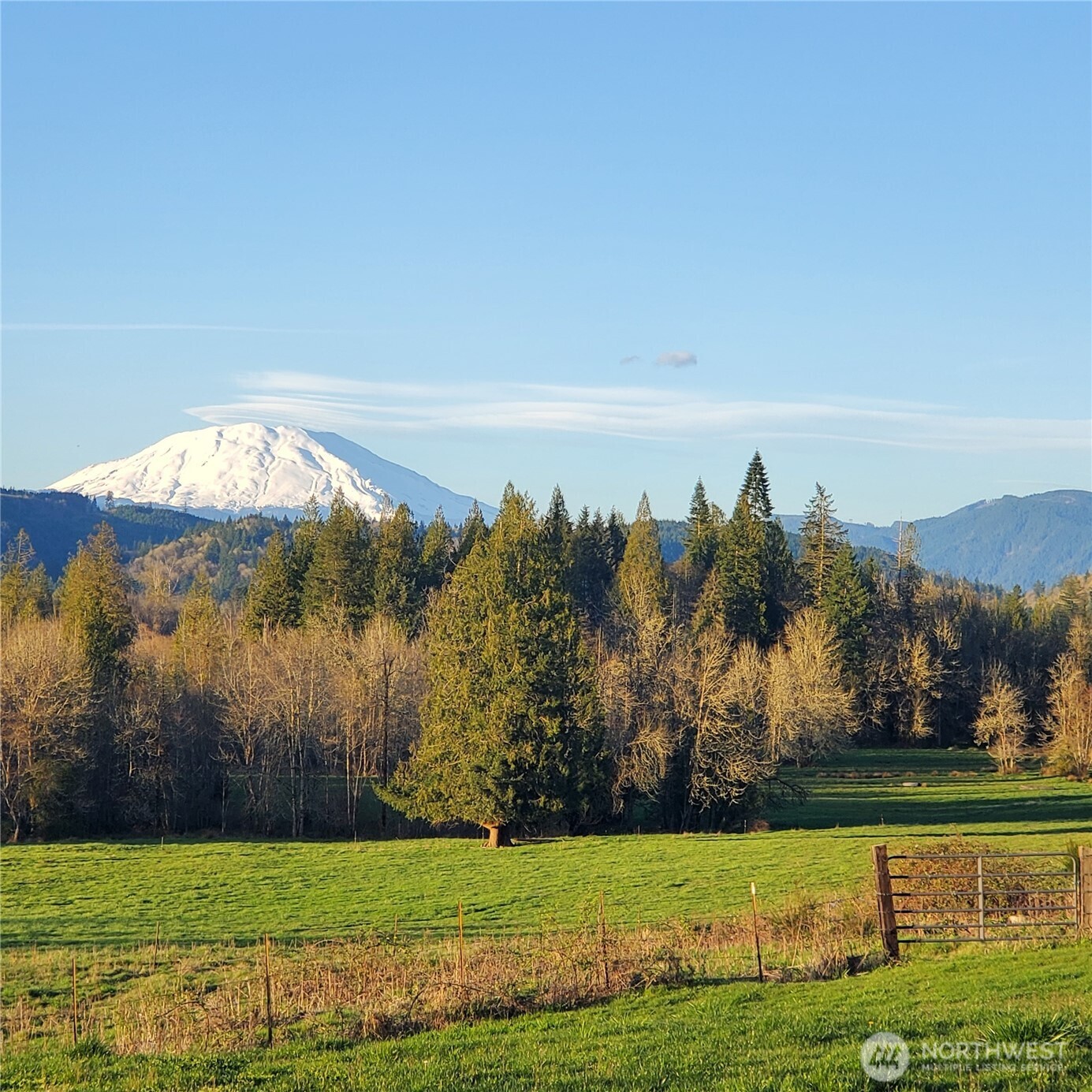 39827 Ne Gerber Mckee Road Property Photo 38