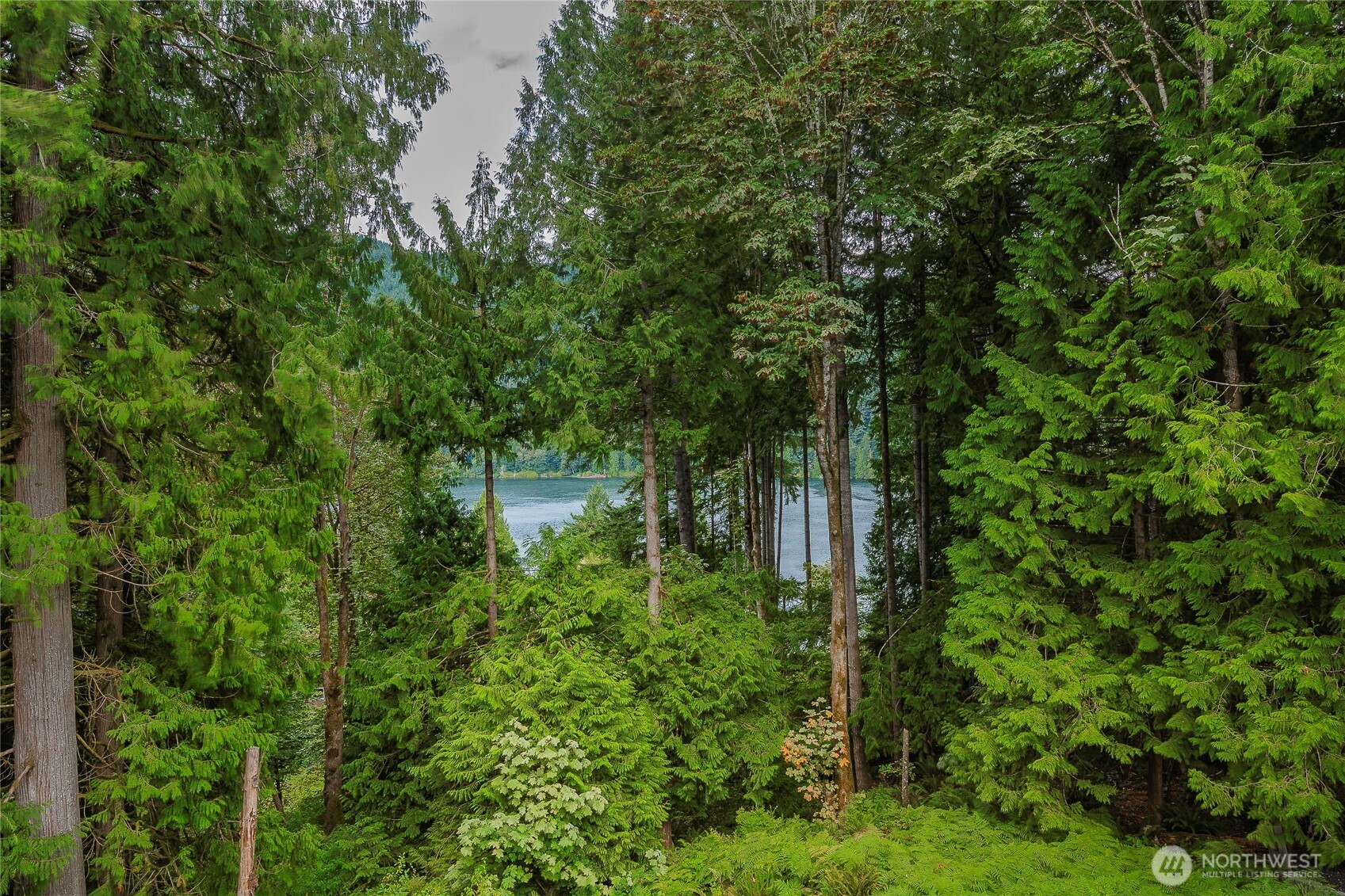 697 Axelson Road Property Photo 11