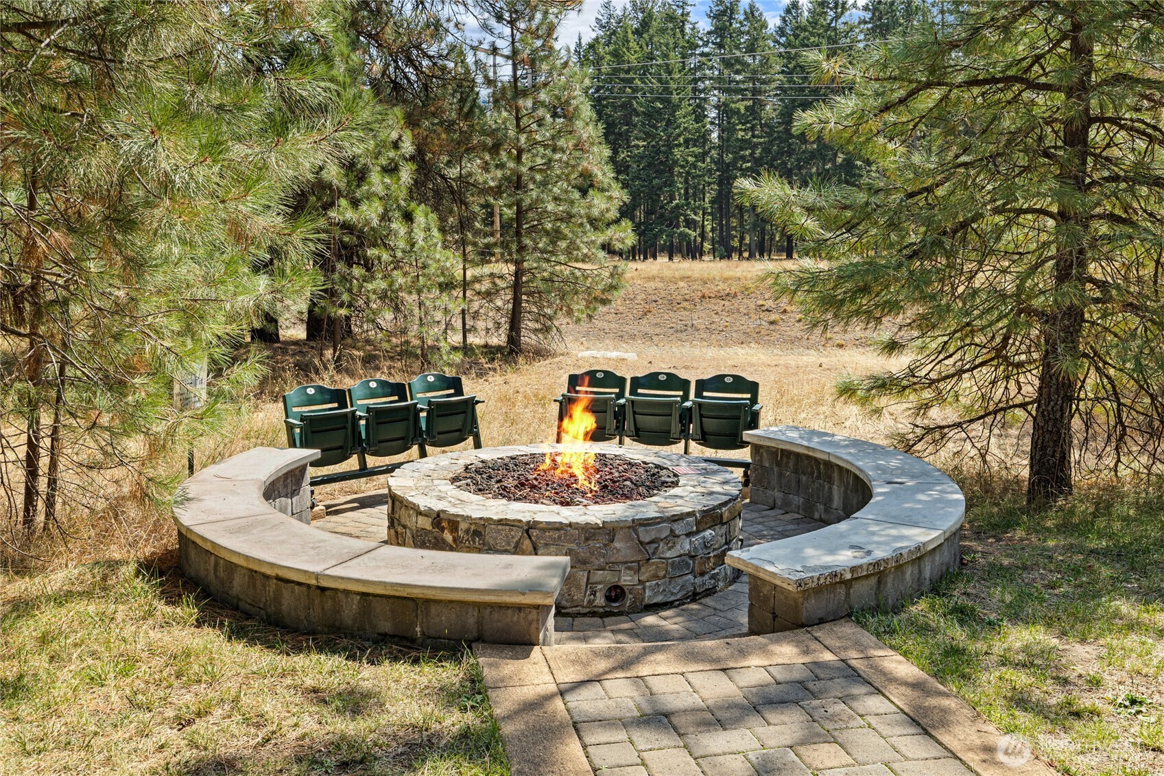 991 Larkspur Loop Property Photo 15