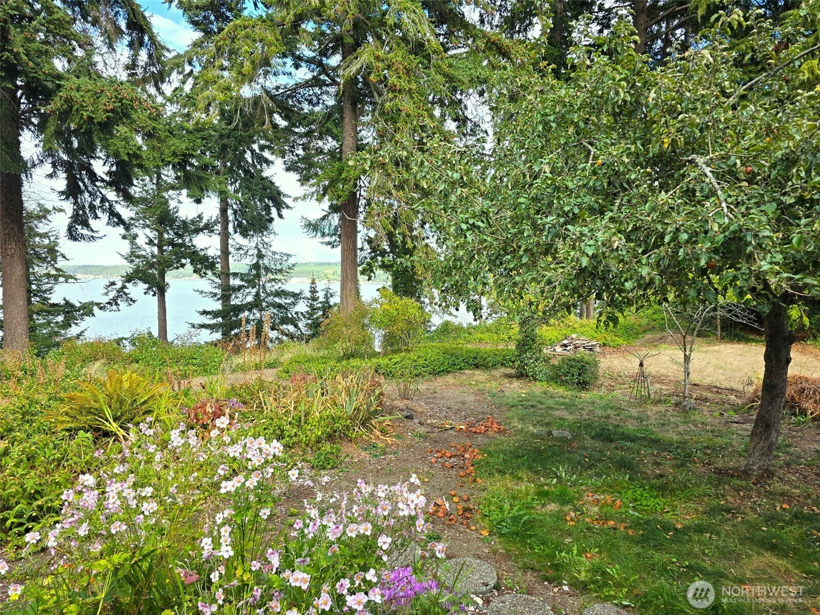 1431 Irondale Road Property Photo 5