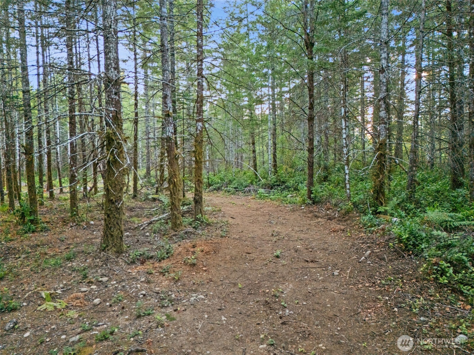 131 E Webb Hill Road Property Photo 1