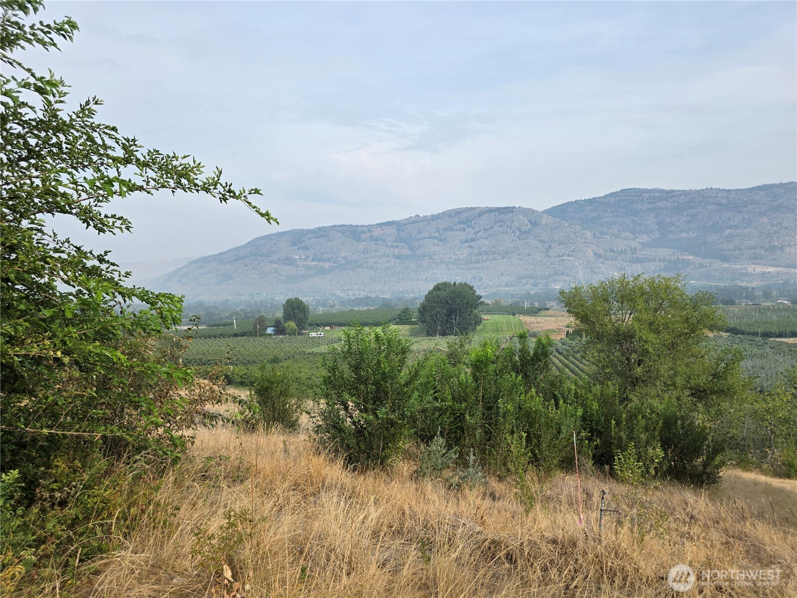 81 B Golden Road Property Photo 31