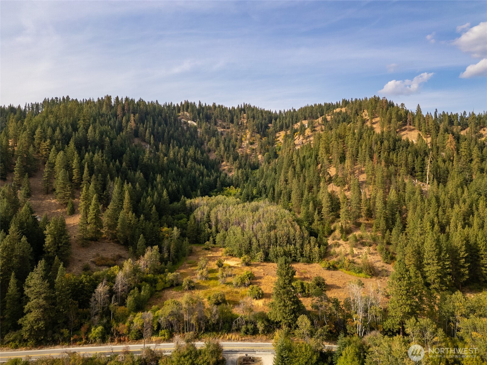 0 Chumstick Hwy Property Photo 1