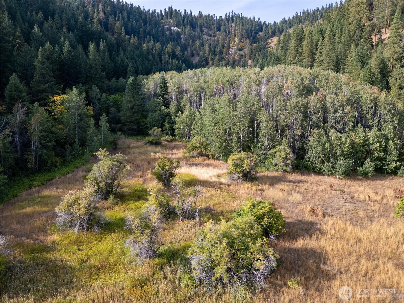 0 Chumstick Hwy Property Photo 8