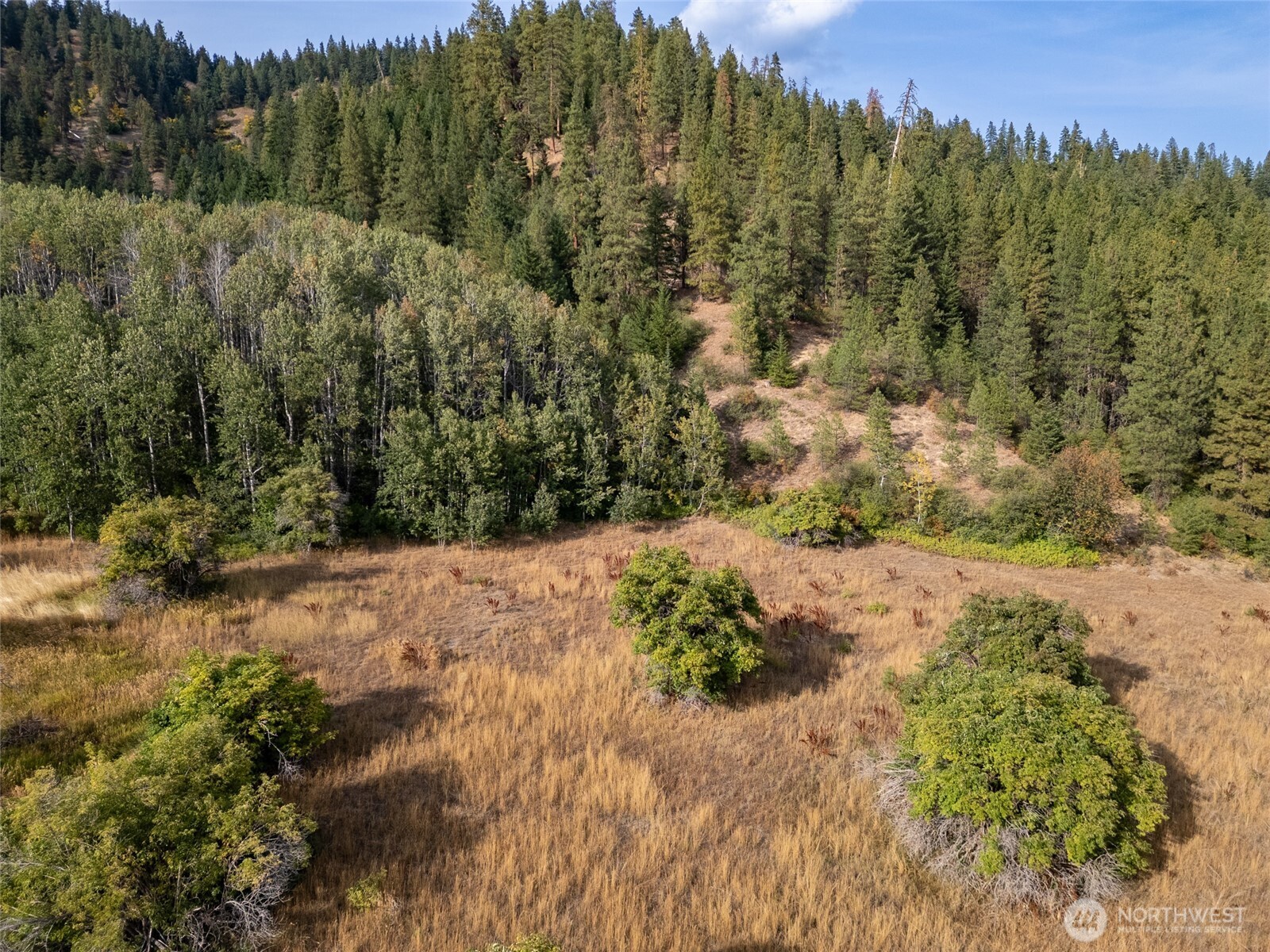 0 Chumstick Hwy Property Photo 20