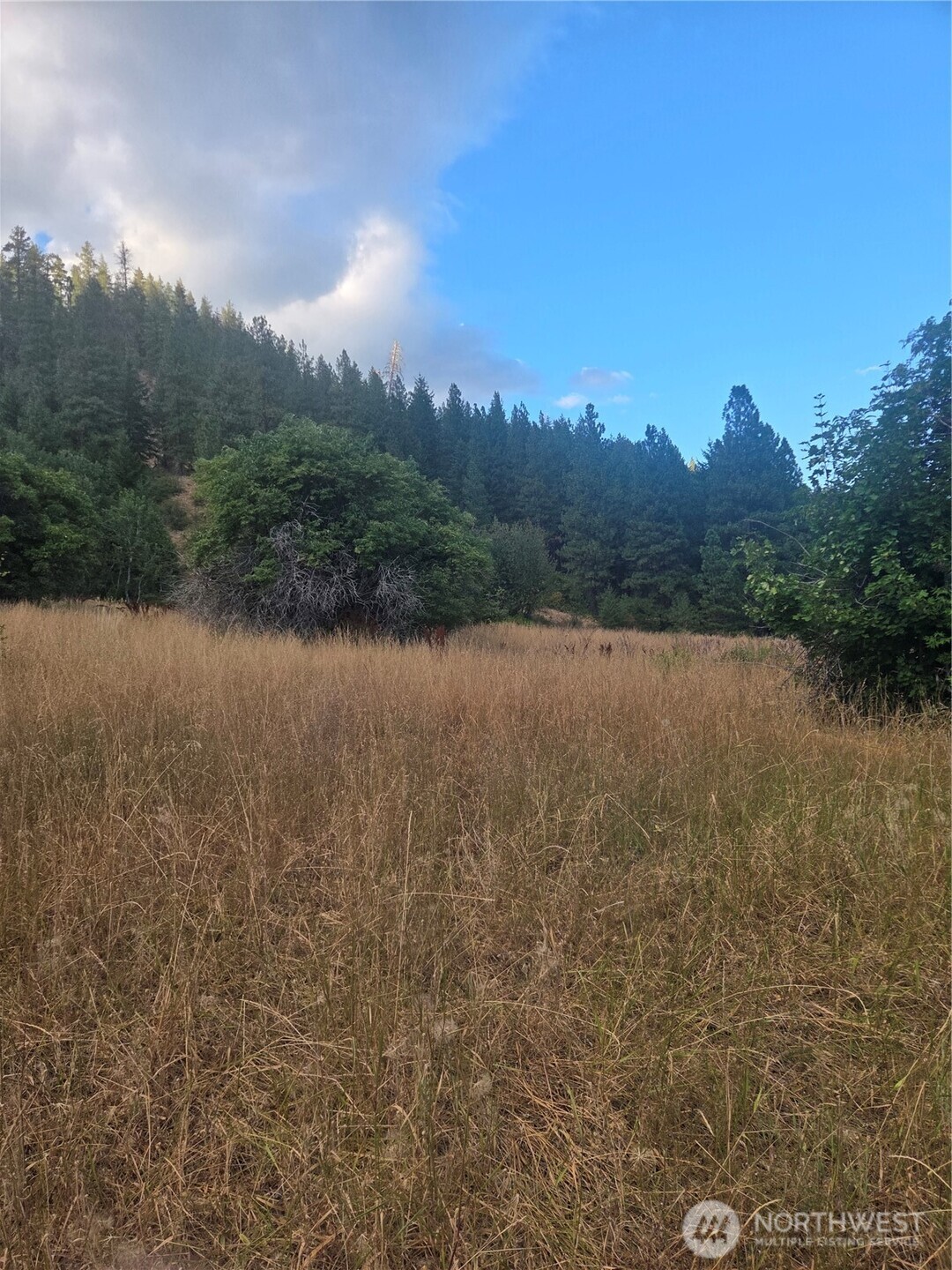 0 Chumstick Hwy Property Photo 24