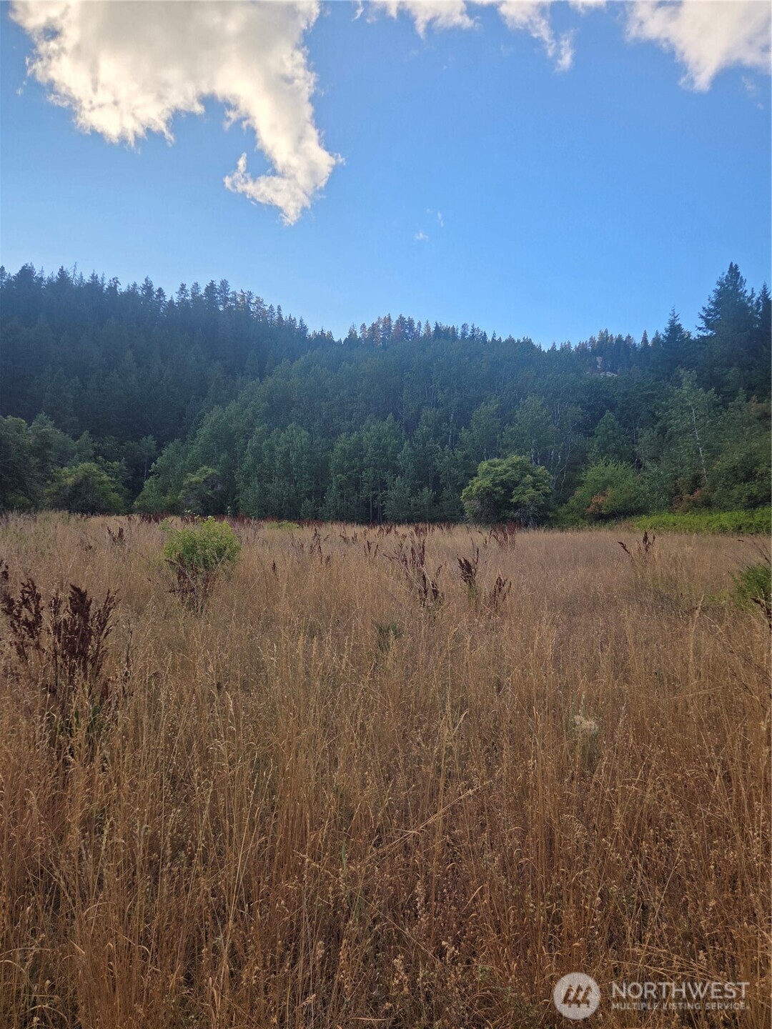 0 Chumstick Hwy Property Photo 26
