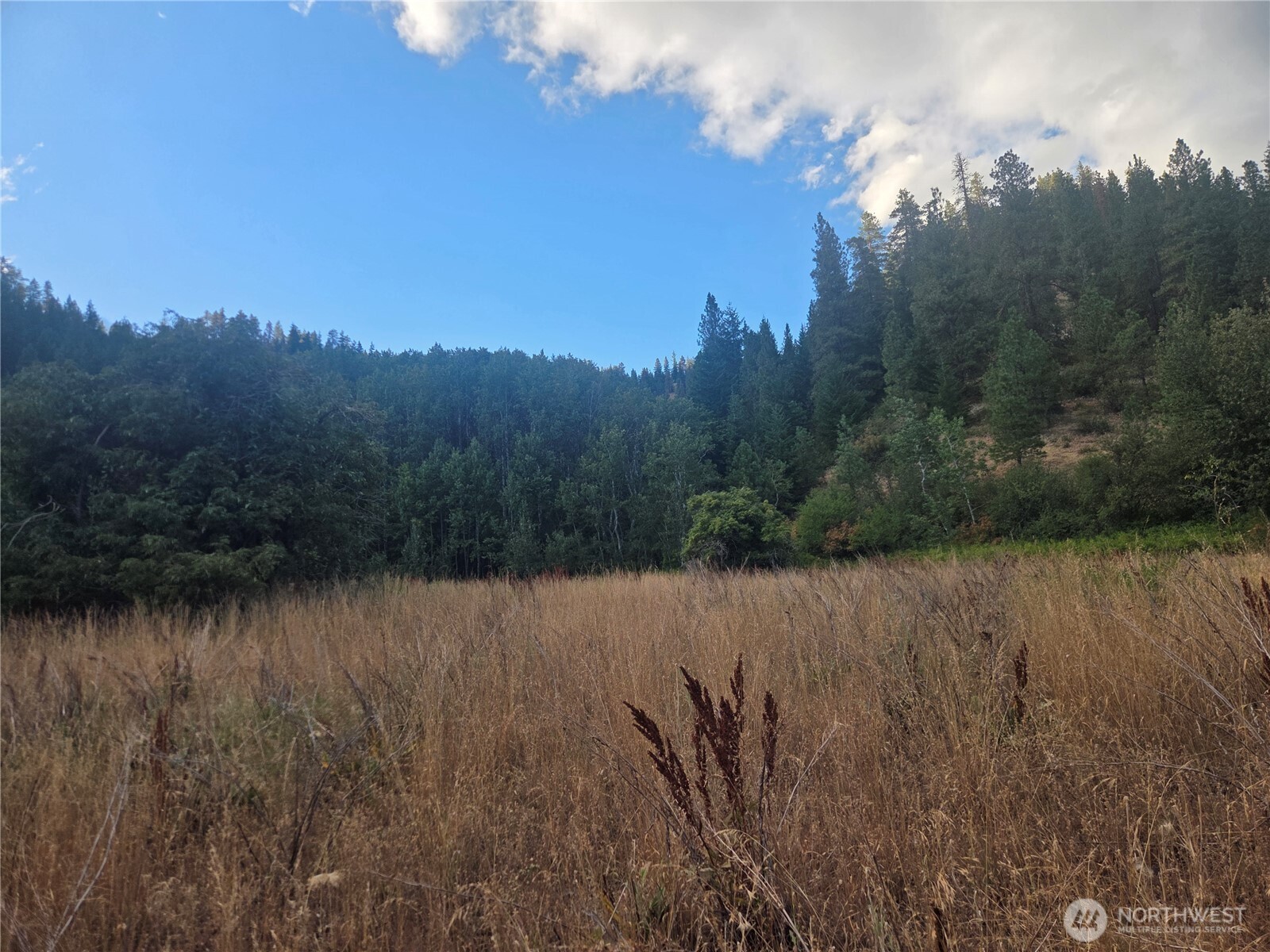 0 Chumstick Hwy Property Photo 29