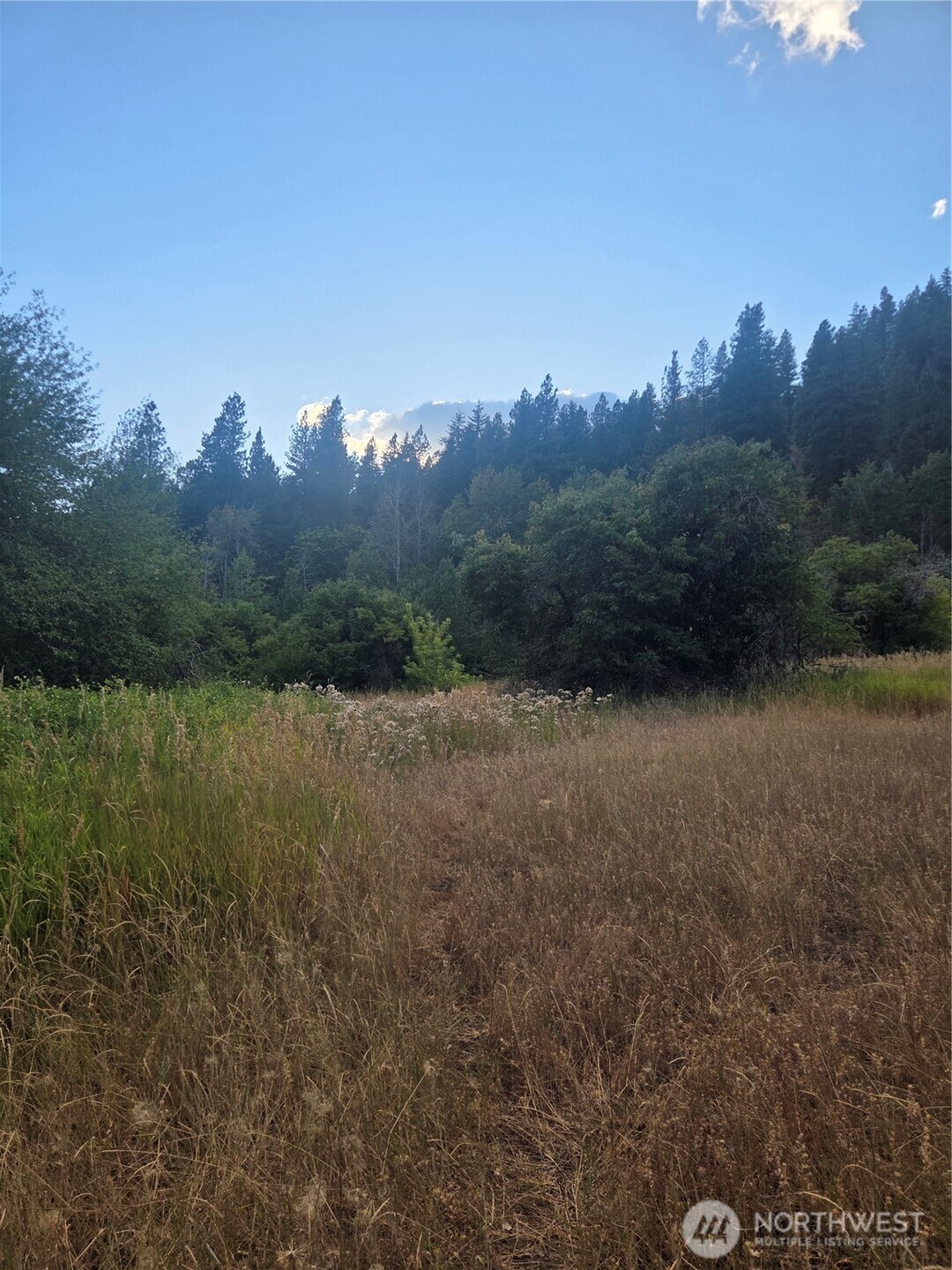 0 Chumstick Hwy Property Photo 30