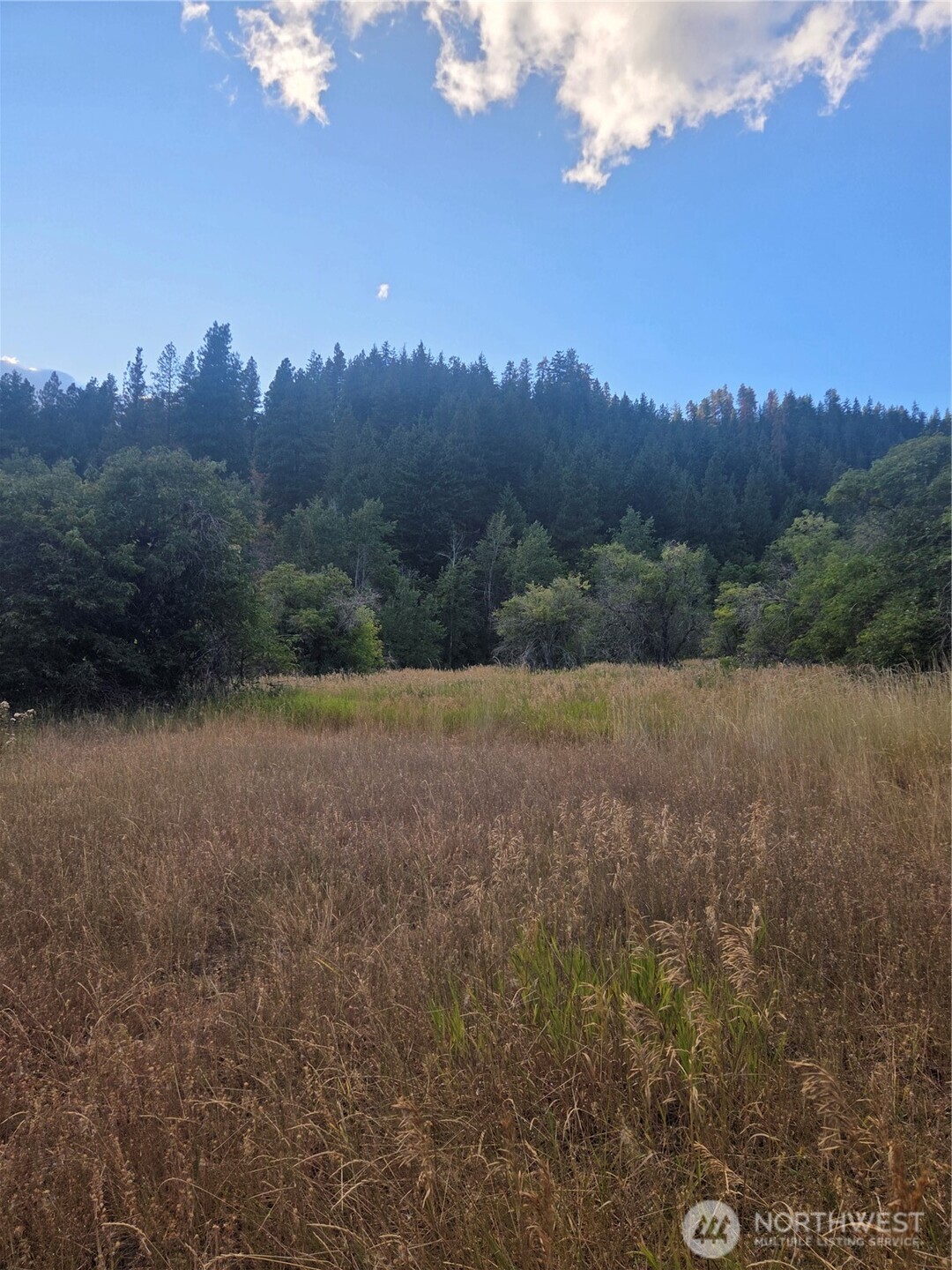 0 Chumstick Hwy Property Photo 31
