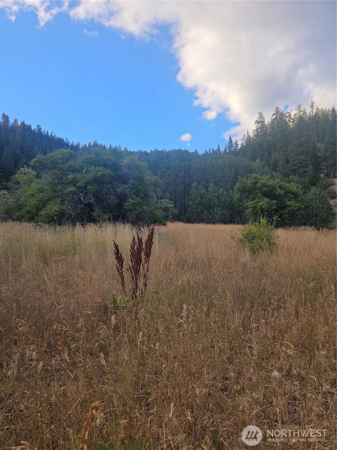 0 Chumstick Hwy Property Photo 32