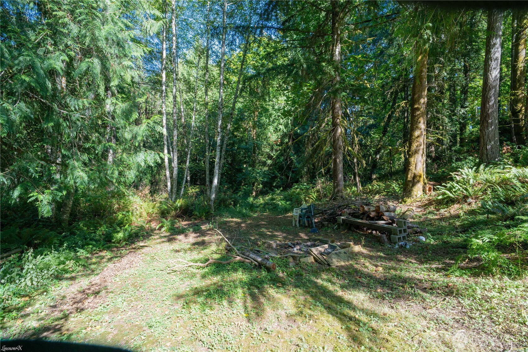 7232 Piedra Drive Property Photo 26