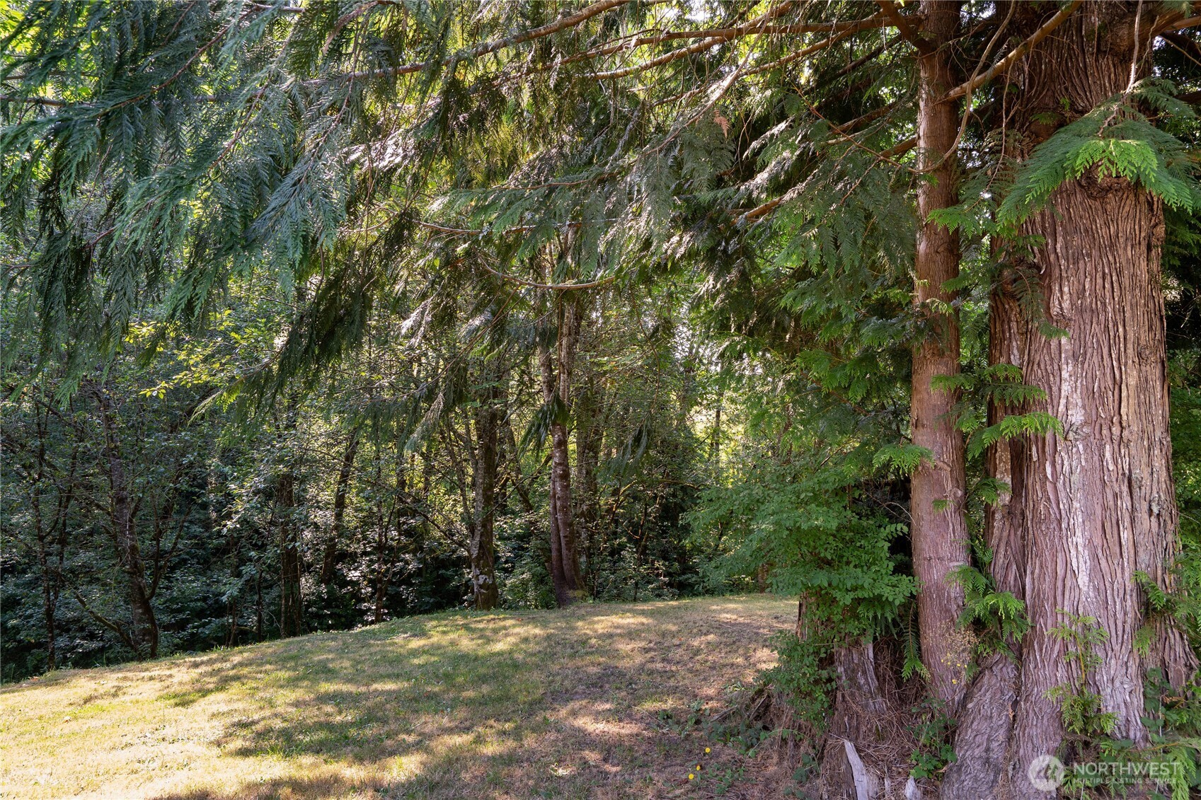 420 Proffitt Road Property Photo 20