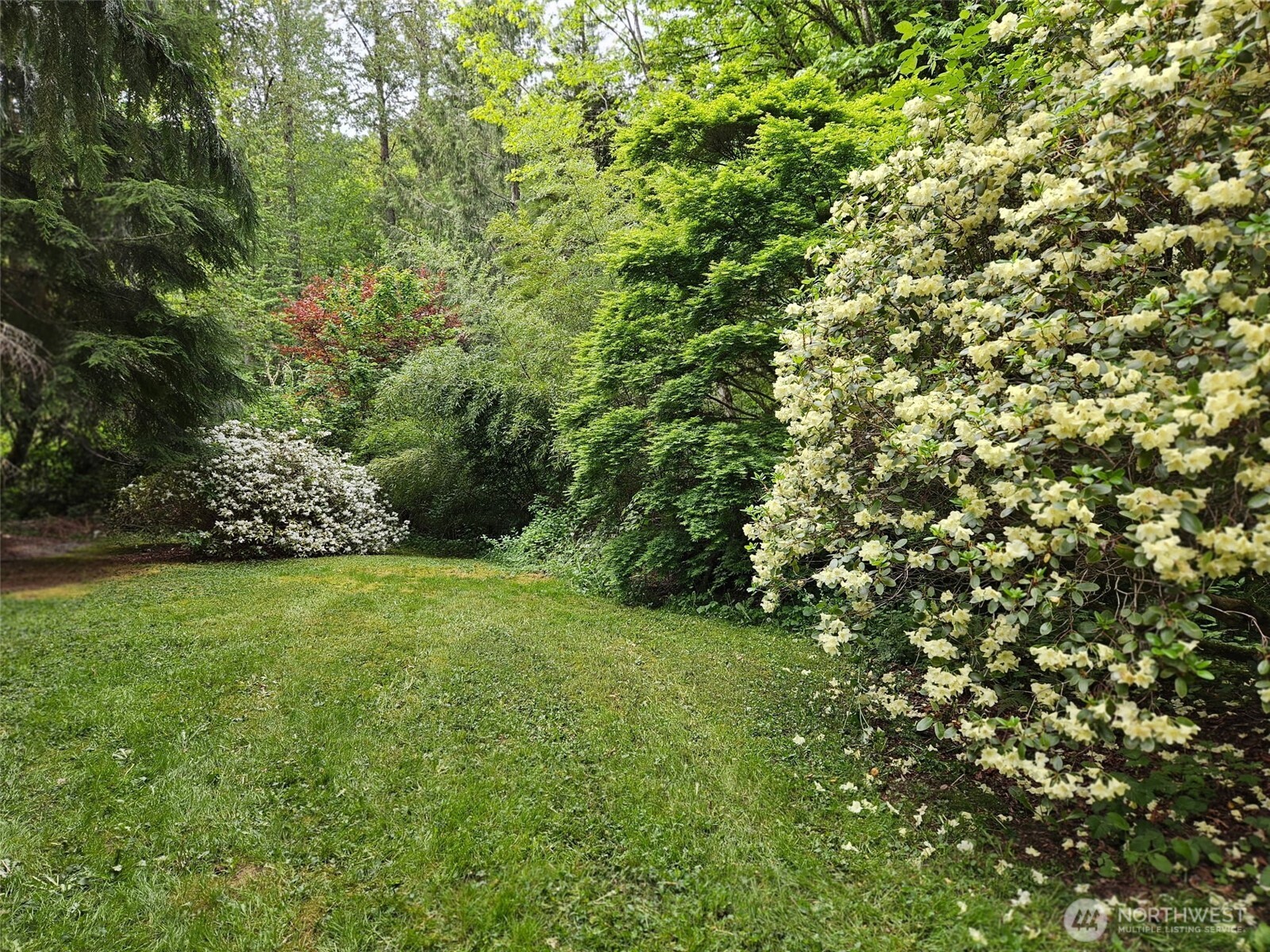12502 Smokes Road Property Photo 20