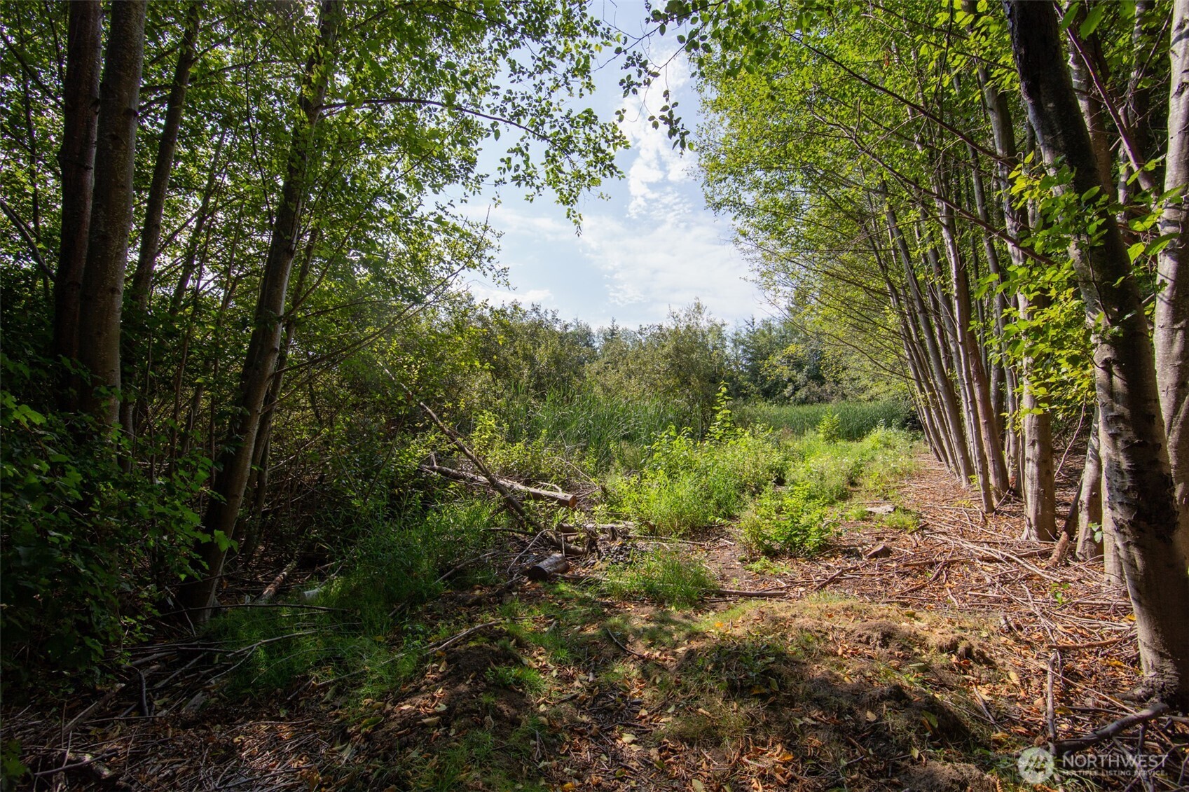 1827 Billie Court Property Photo 13