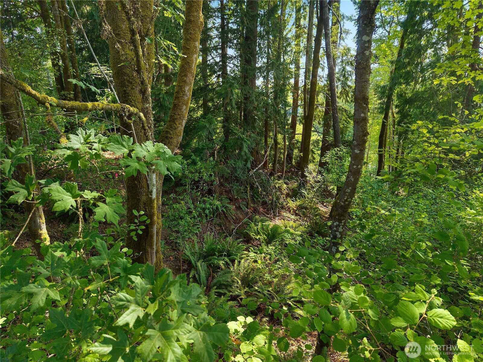 40 E Ridgeview Drive Property Photo 11