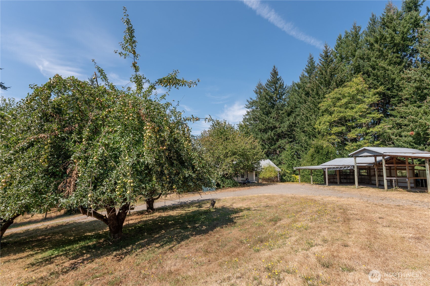 20648 Backman Road Property Photo 8