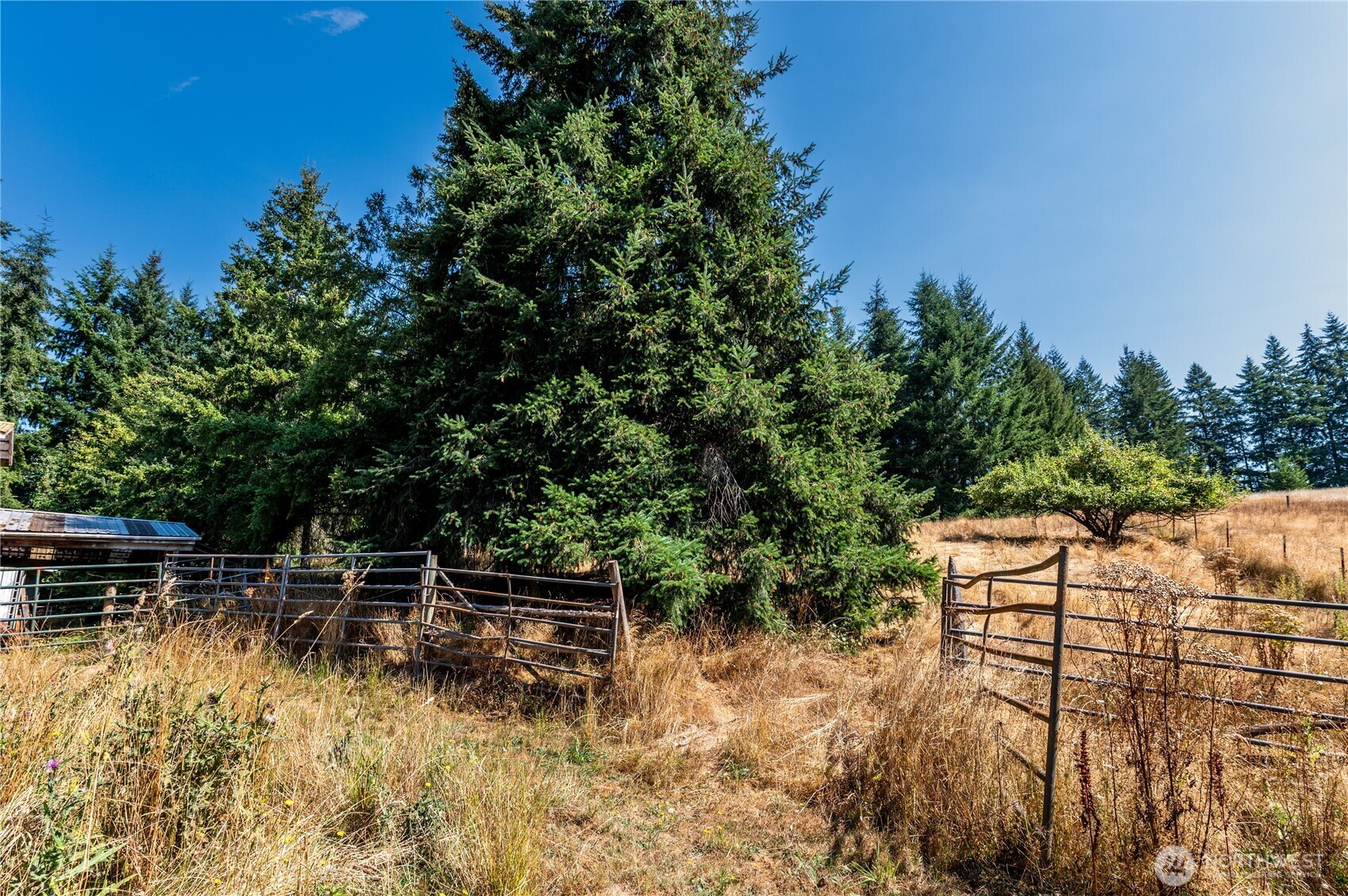 20648 Backman Road Property Photo 10